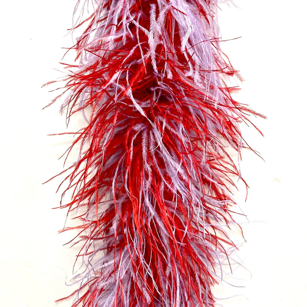 Ostrich Boa - Two Tone