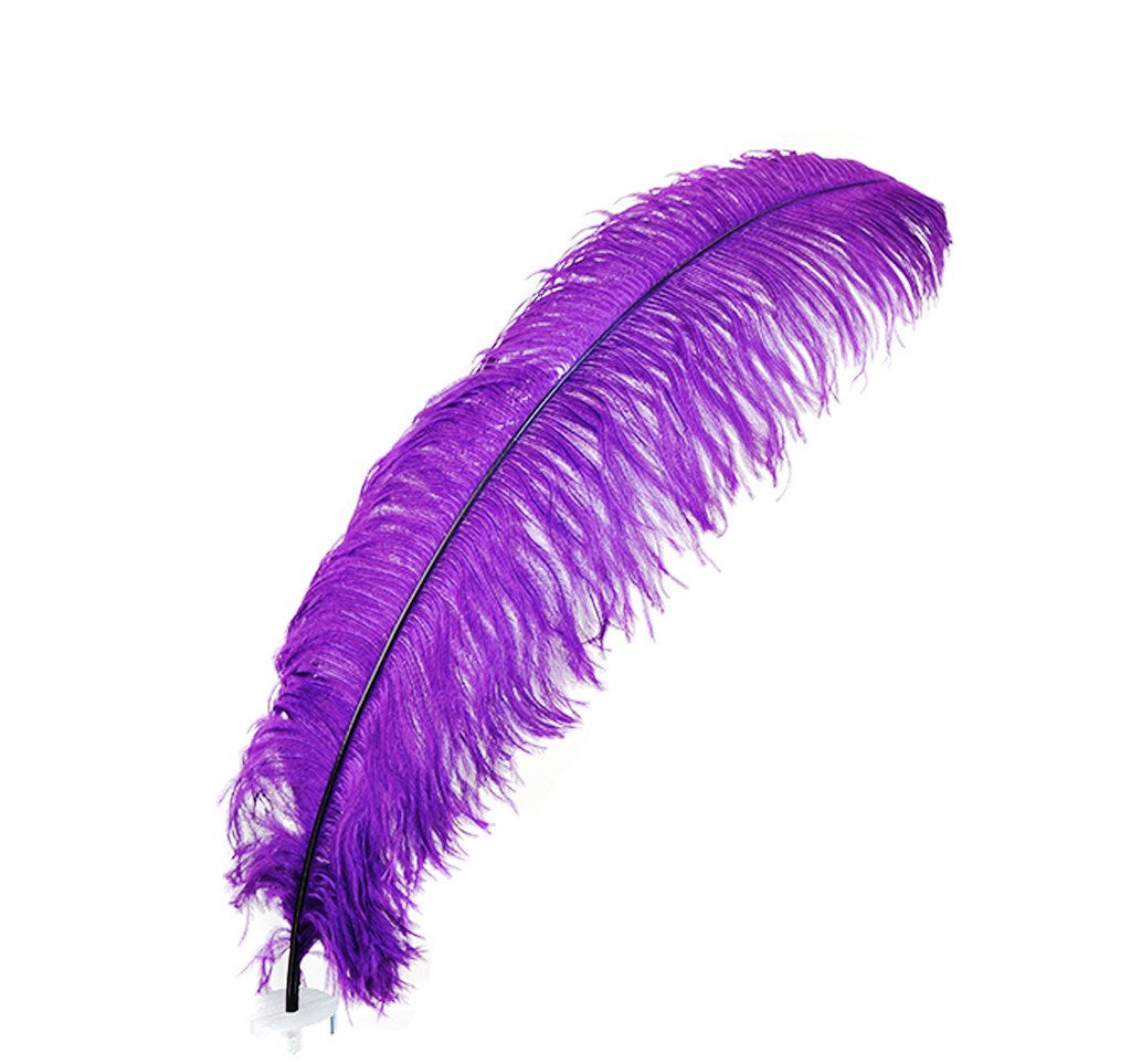 Ostrich Plumes 23-28"