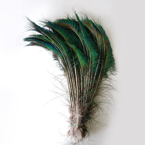 Peacock Feather Swords ( SOLD by HUNDRED )