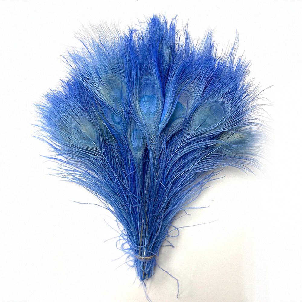 Peacock Feather Tails Bleached & Dyed (10"-12") (SOLD by HUNDRED )