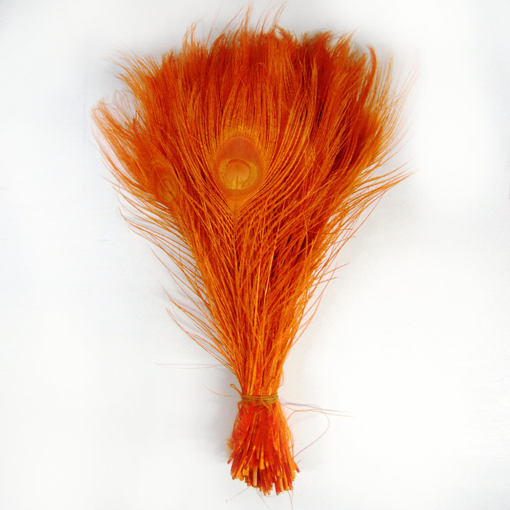 Peacock Feather Tails Bleached & Dyed (10"-12") (SOLD by HUNDRED )