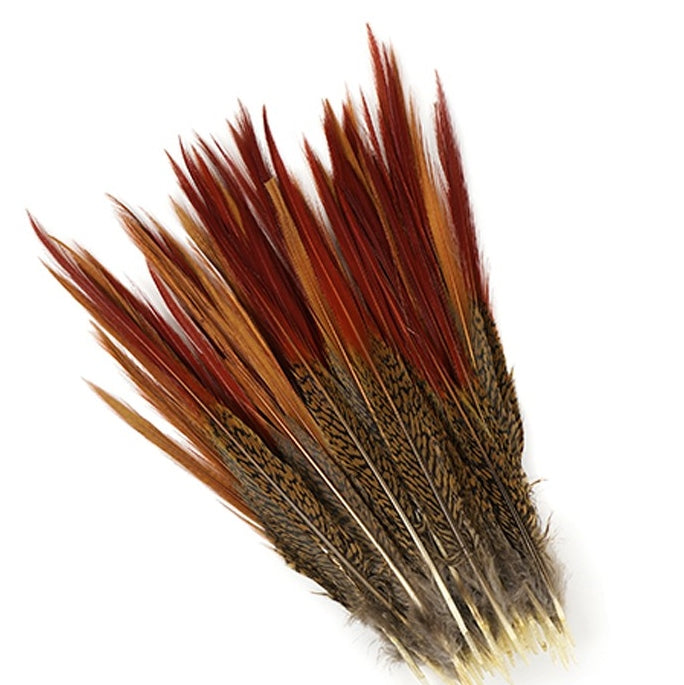 Golden Pheasant Tails Red Tip 4-12"