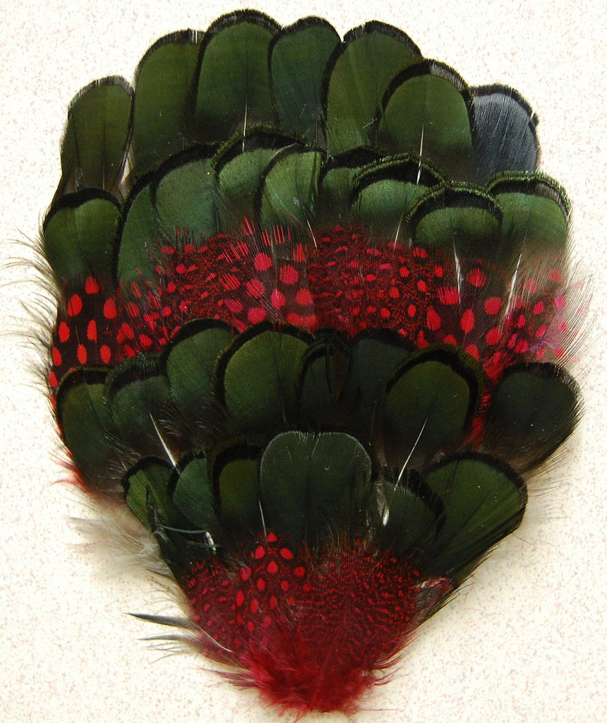 Natural Black Pheasant/Dyed Guinea Pad
