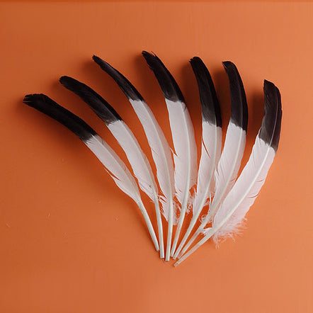 Turkey Quills Two-Tone ( SOLD by PIECE )