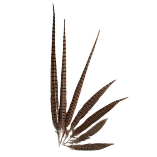 Wholesale Pheasant Feathers: Dyed, Natural, Long, Short, Ringneck