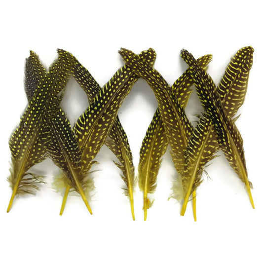 Guinea Quills