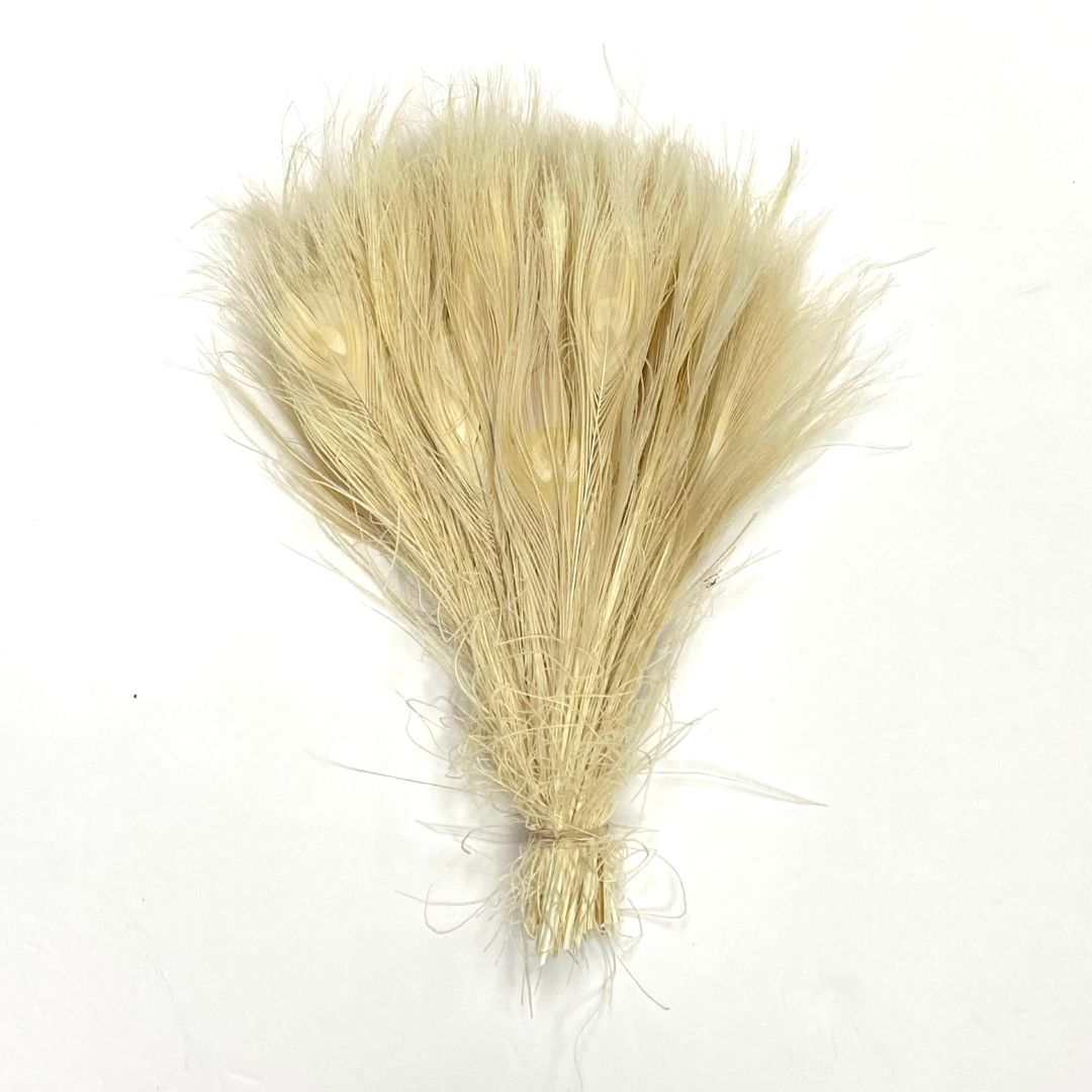 Peacock Tails Bleached White 10-12"