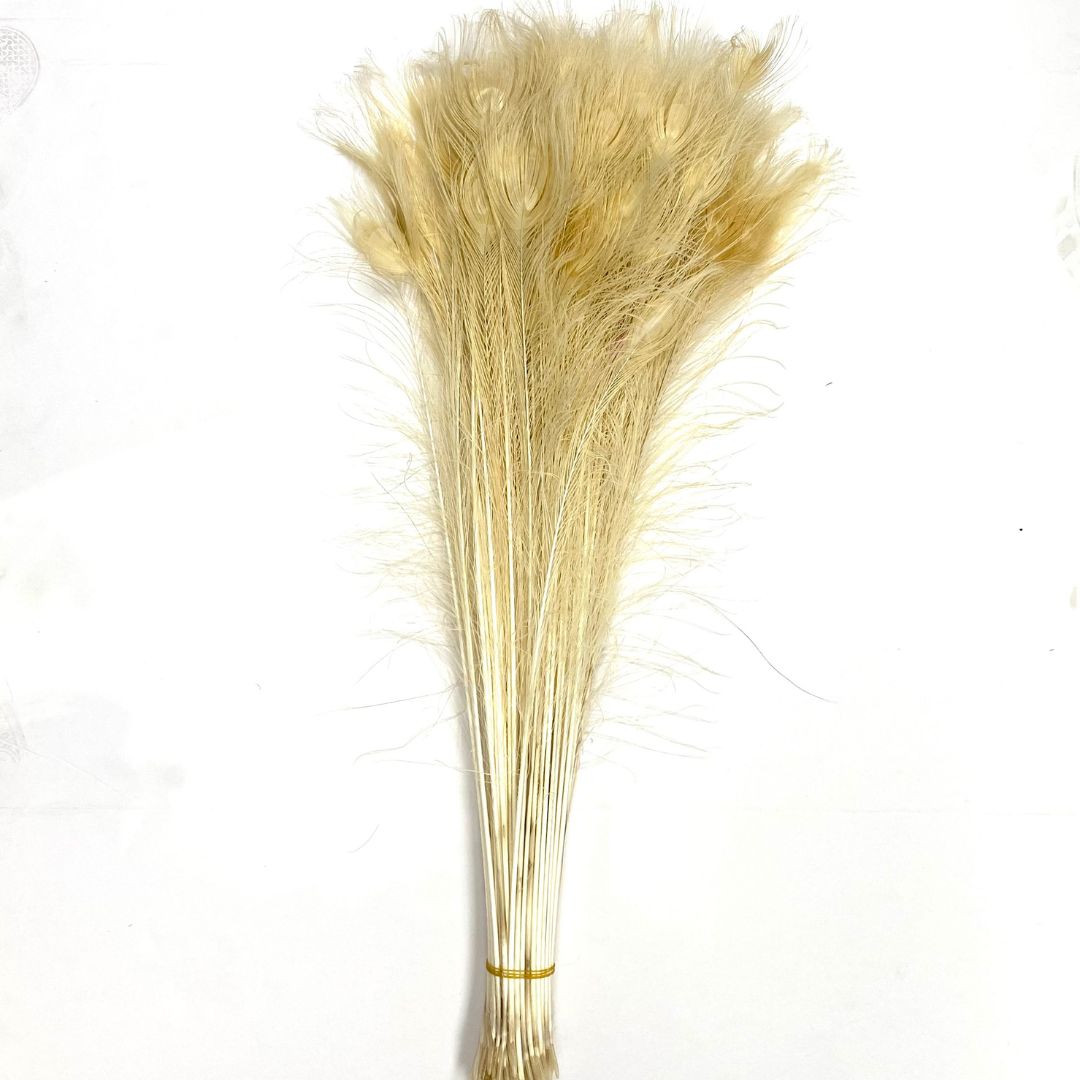Peacock Tails Bleached White 30-35"