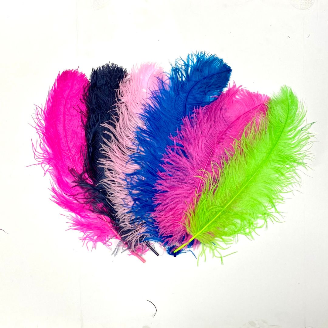 Ostrich  Plumes 18"-23"