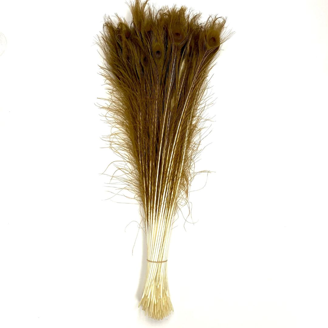 Peacock Tails Dark Bleached 25-30"
