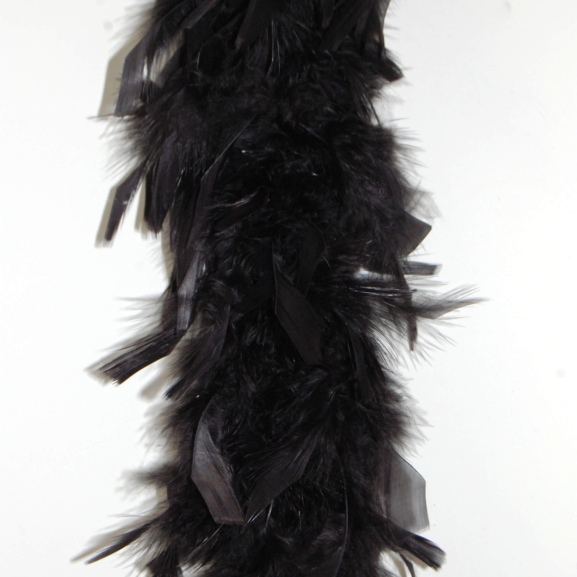 black lightweight chandelle feather on white background