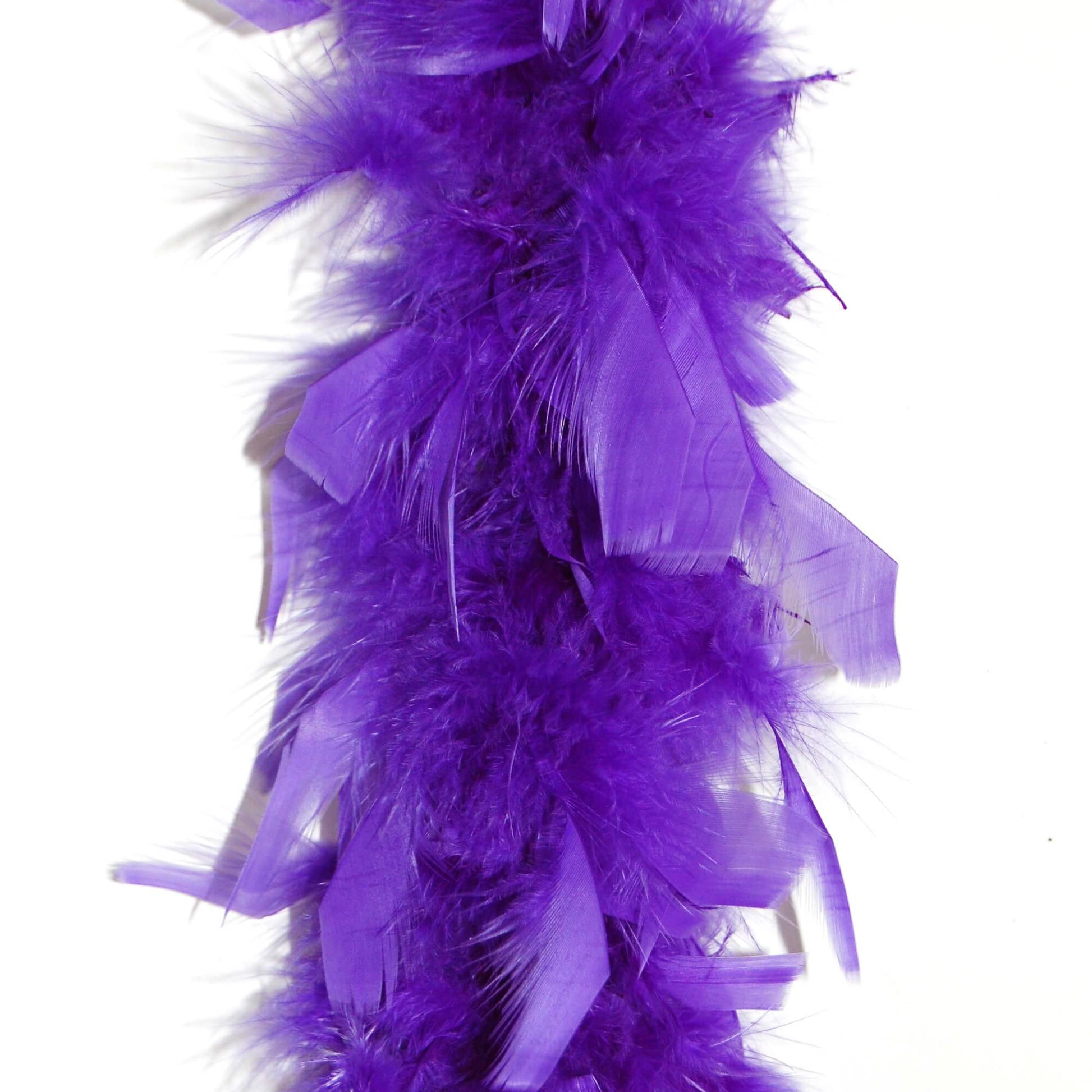 purple boa closeup 