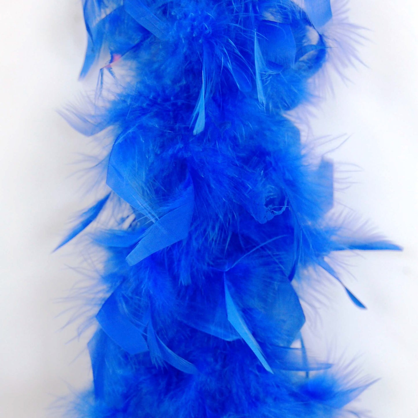 royal blue chandelle boa close up on white background