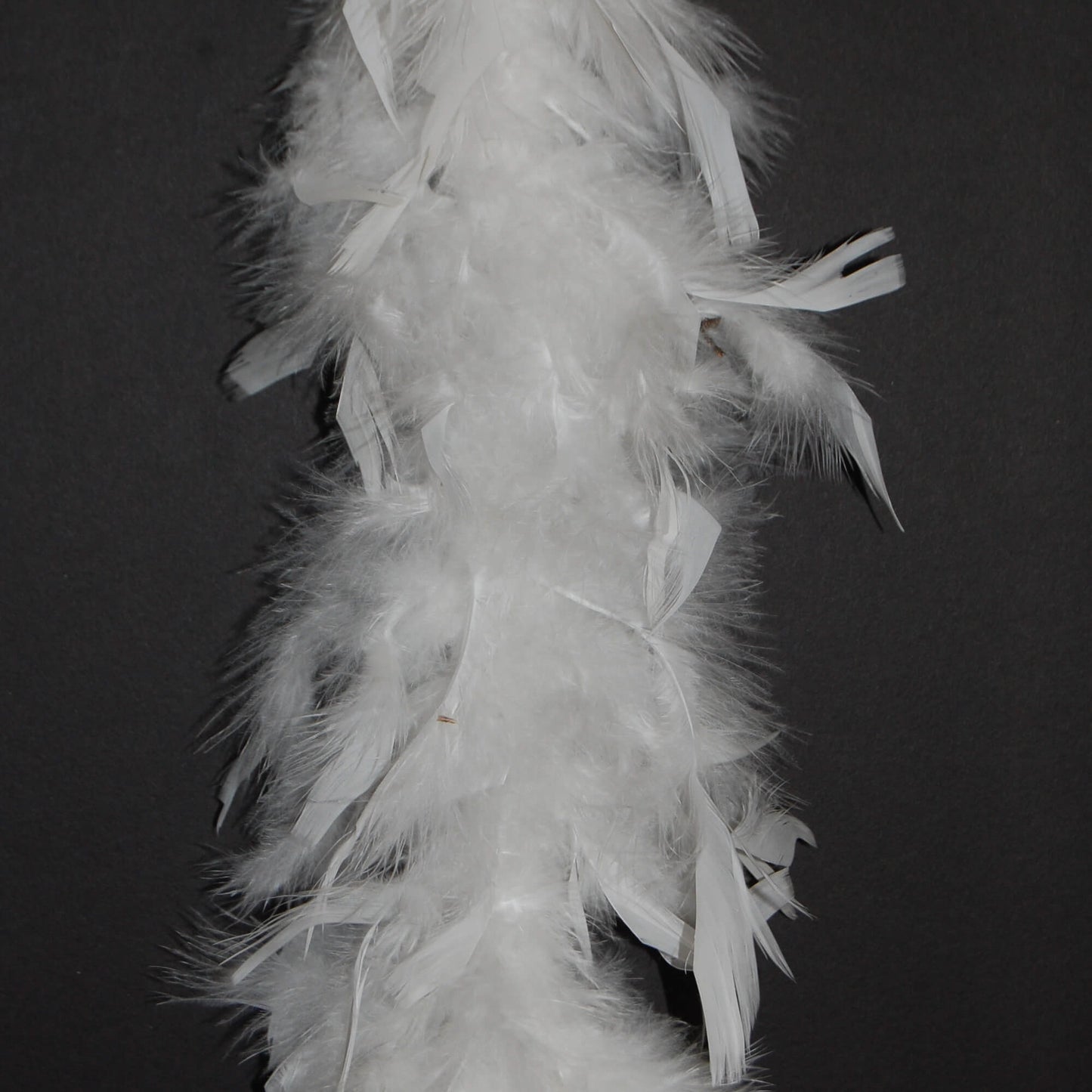 white boa on black background