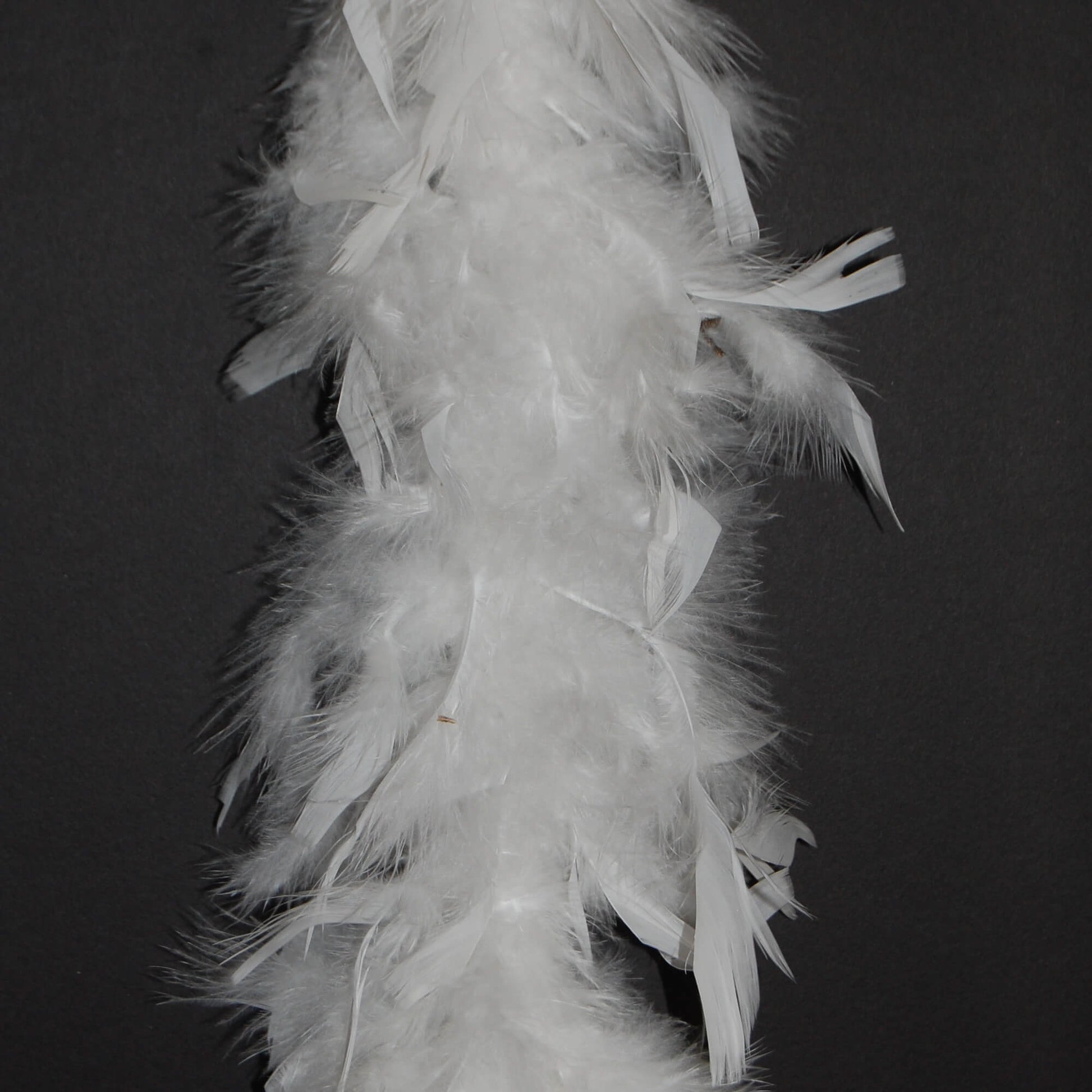 white boa on black background