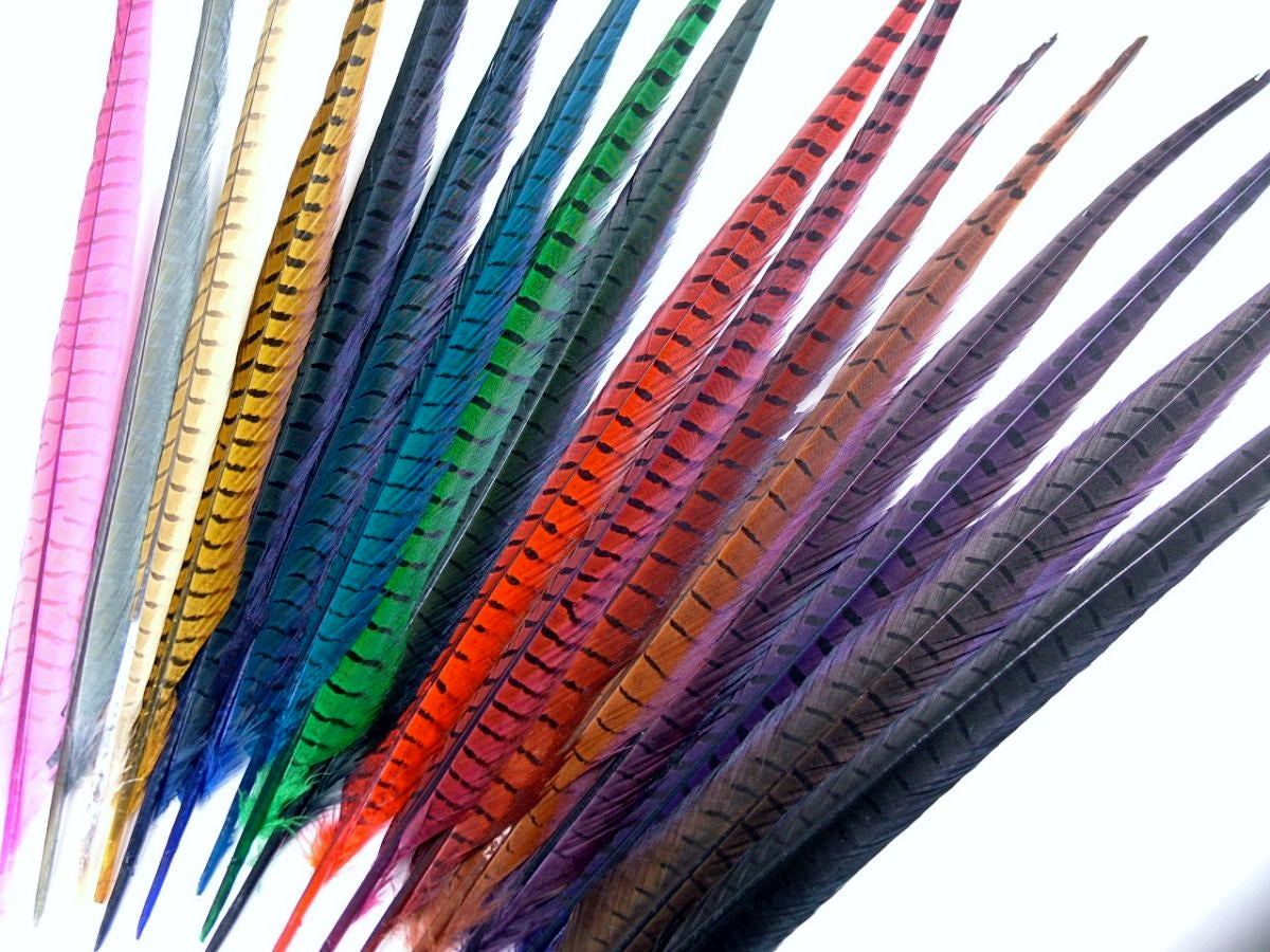 Assortment of rainbow colored pheasant tail feathers