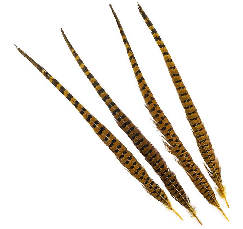 four Yellow premium feathers