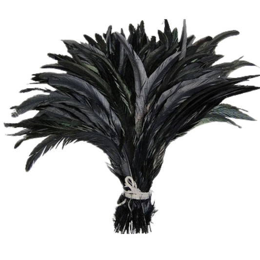 Black feathers tied in a bundle