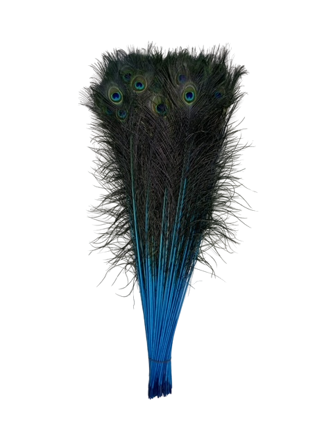 Peacock Tails Dyed 30-45"