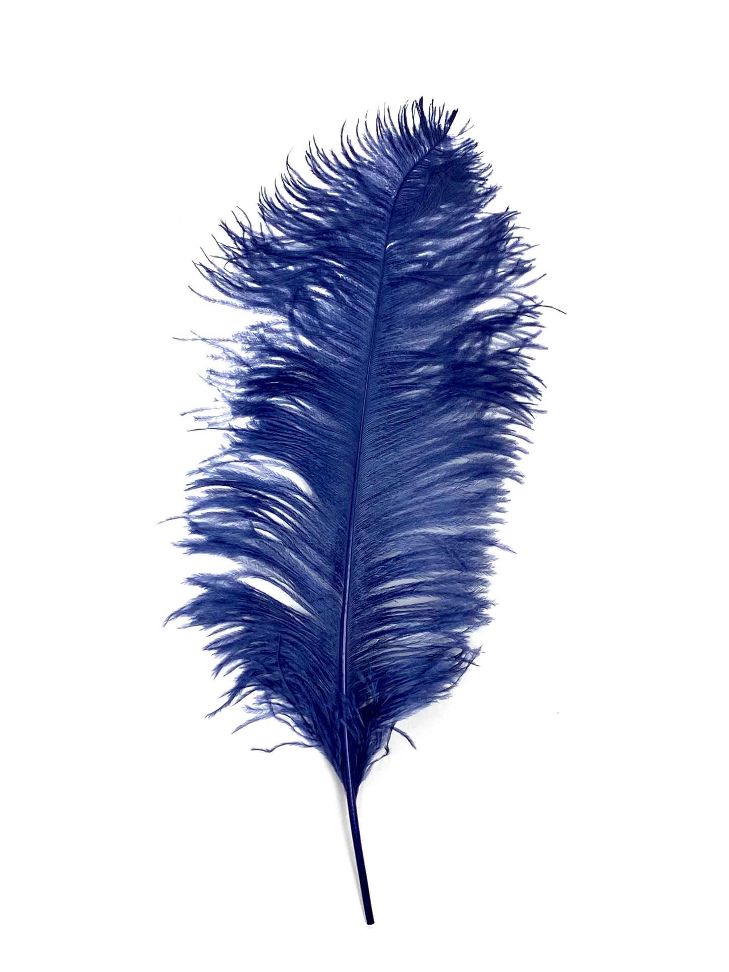 Ostrich Plumes 23-28"