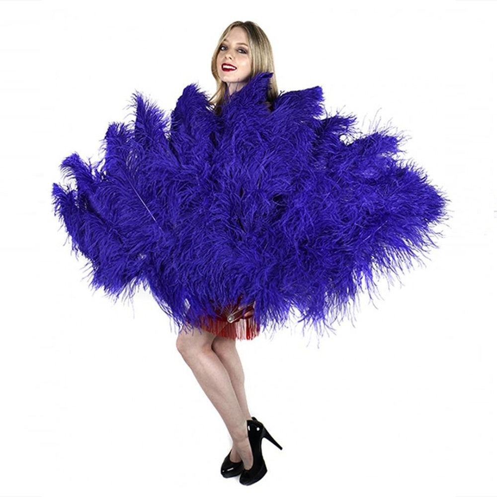 Ostrich Fan