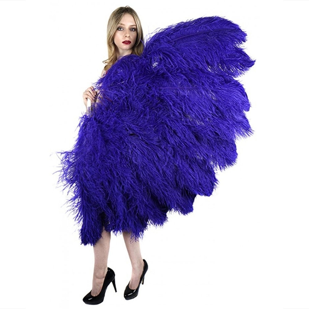 Ostrich Fan