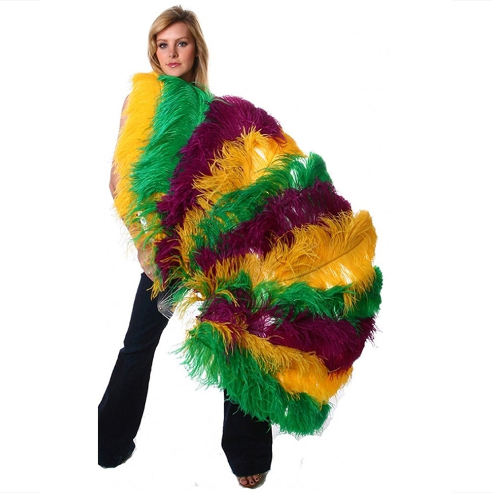 Ostrich Fan
