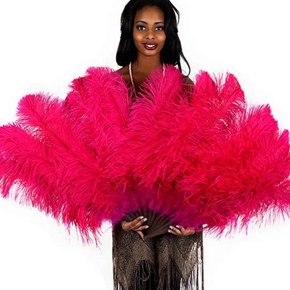 Ostrich Fan