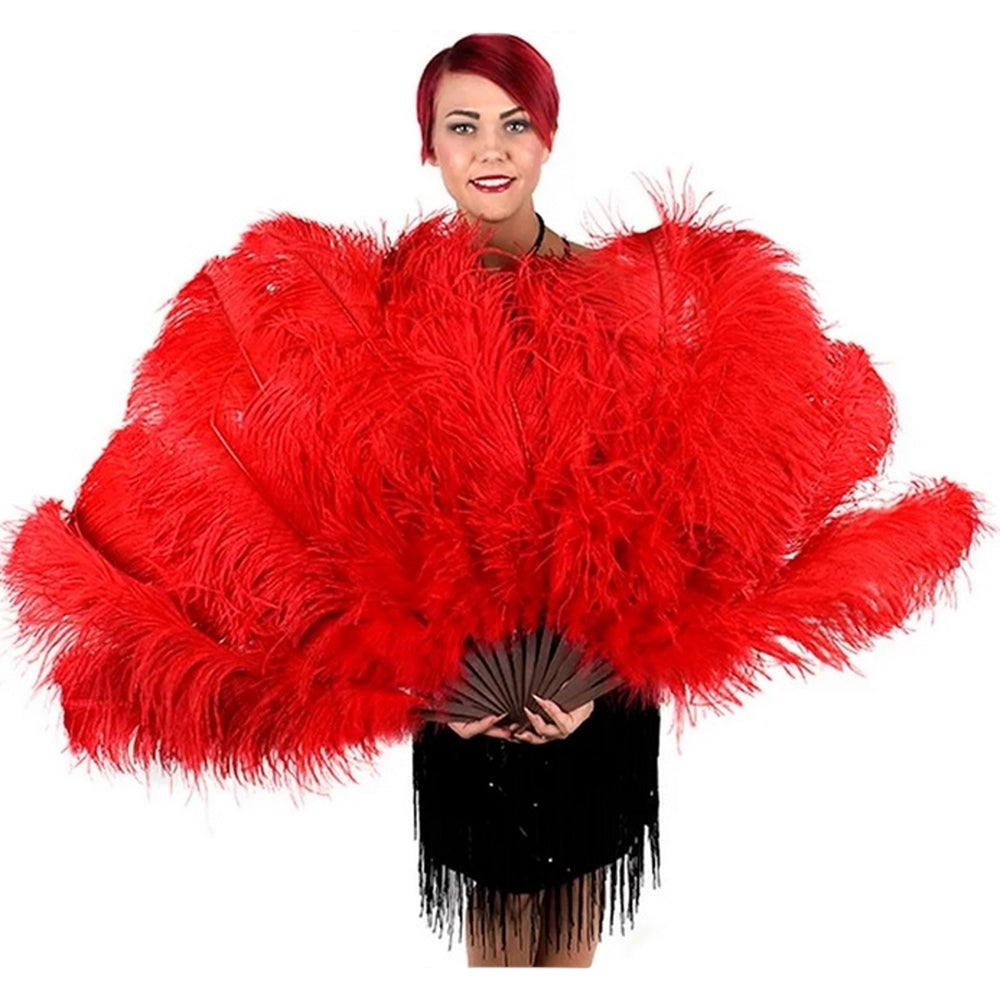 Ostrich Fan