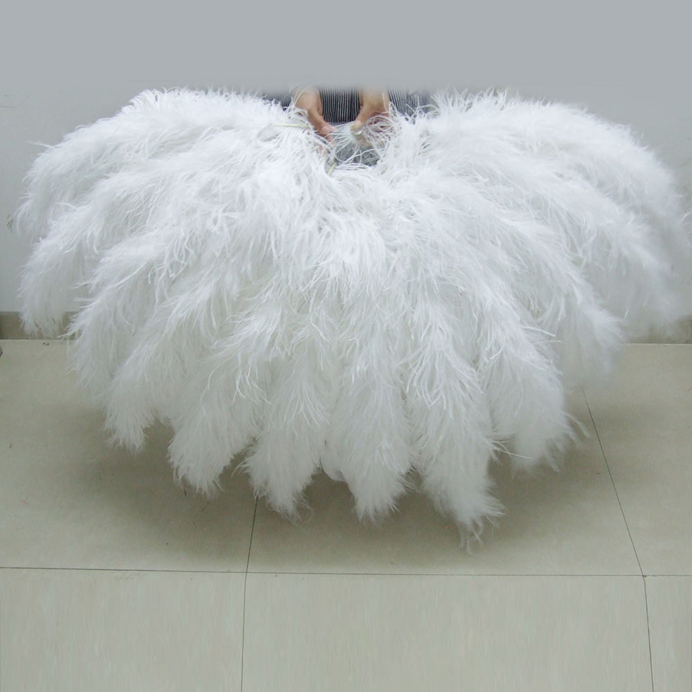 Ostrich Fan