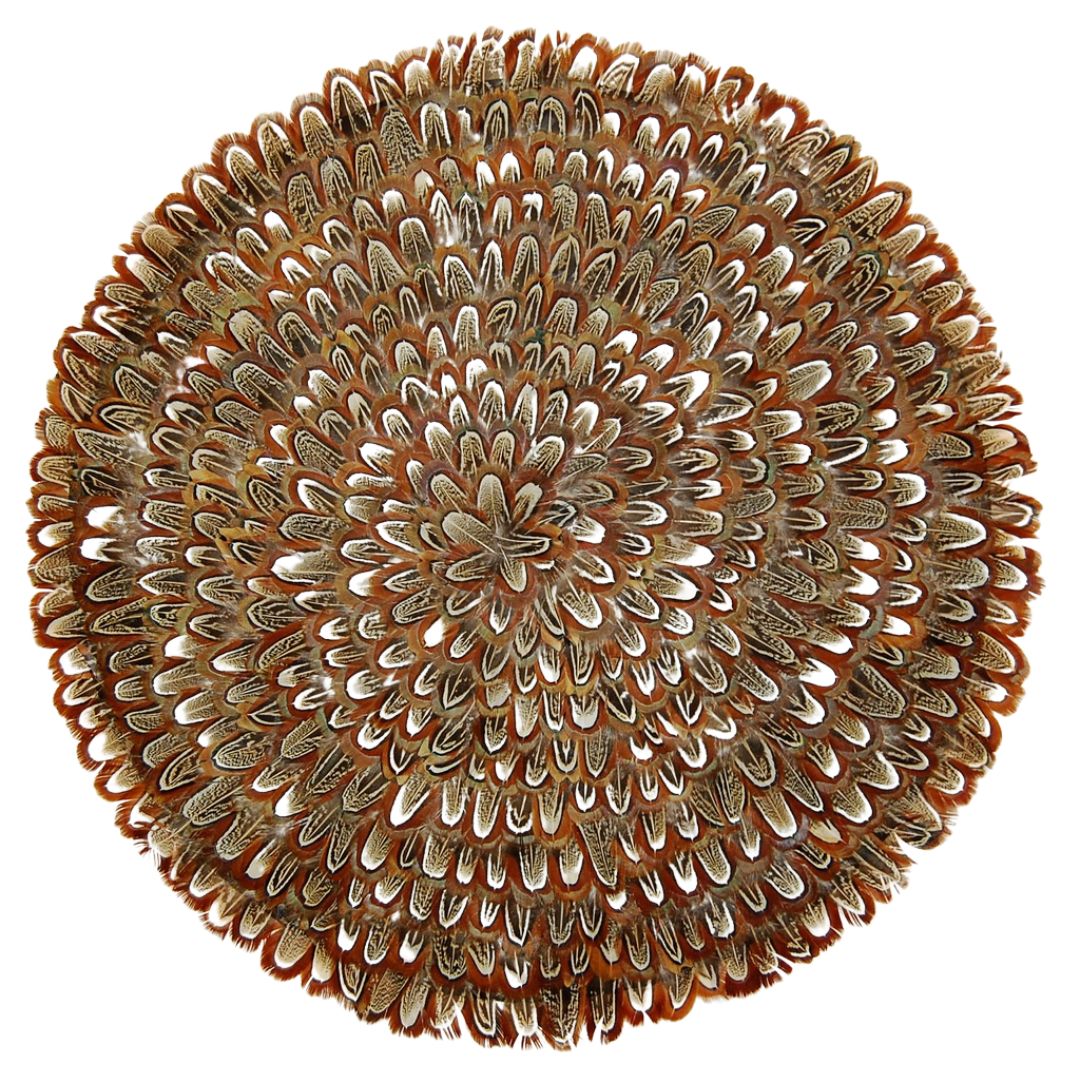 Pheasant Feather Placemat
