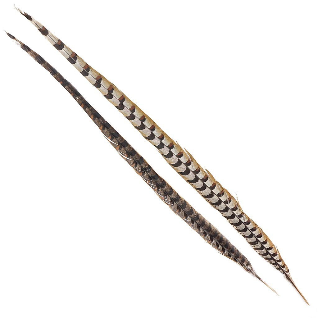 Reeves Pheasant Tails 4-60"