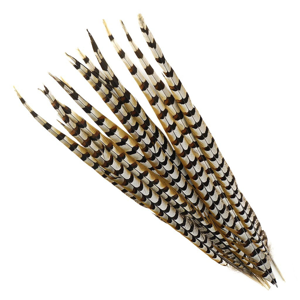 Reeves Pheasant Tails 4-60"