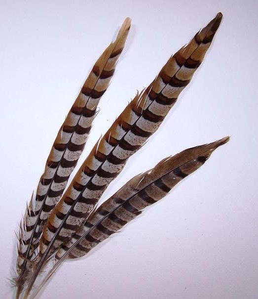 Reeves Pheasant Tails 4-60"