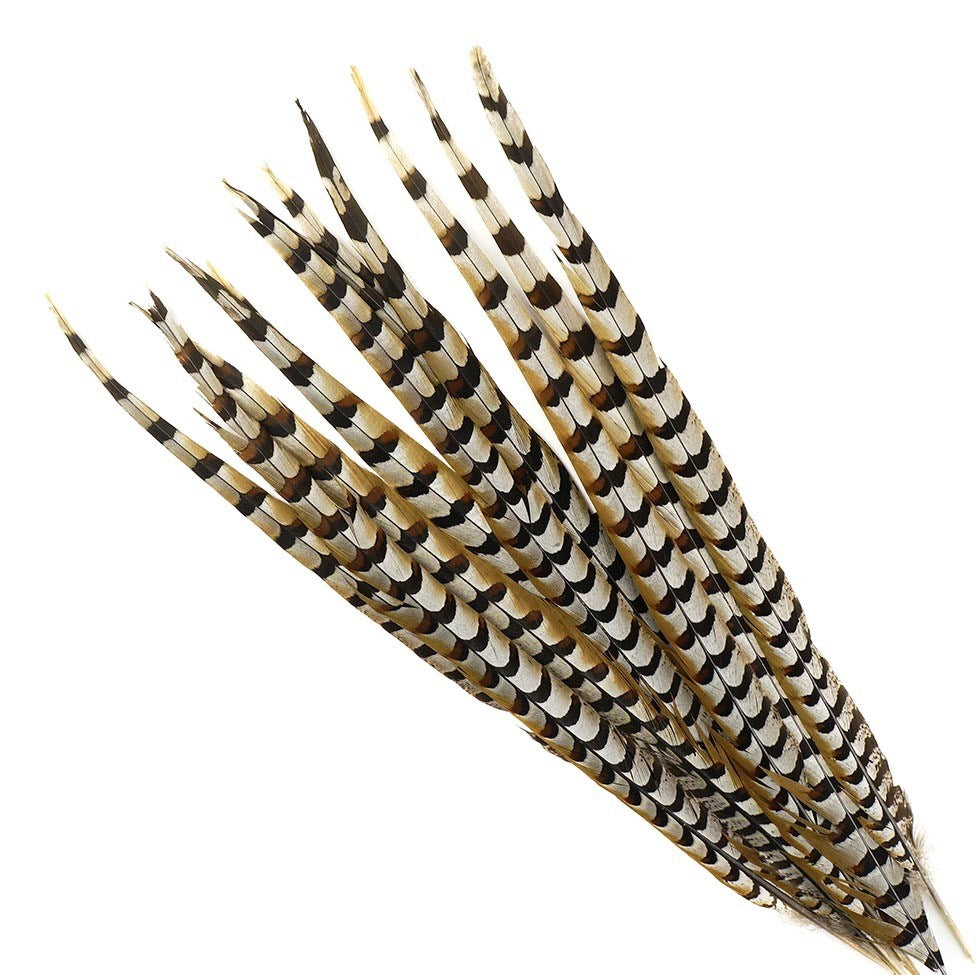 Reeves Pheasant Tails 4-60"