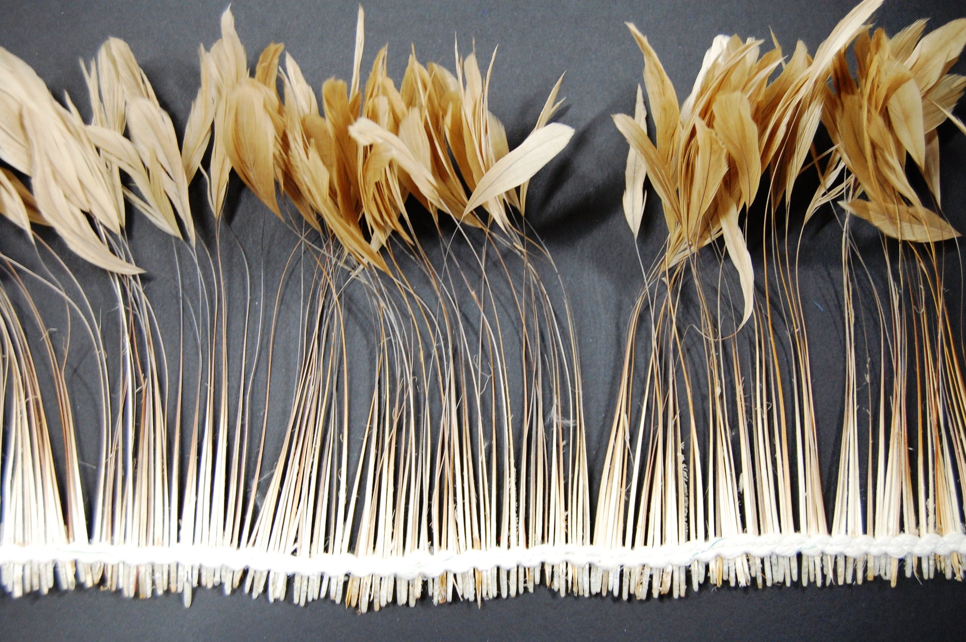 Beige rooster feathers on tape by Eskay feathers