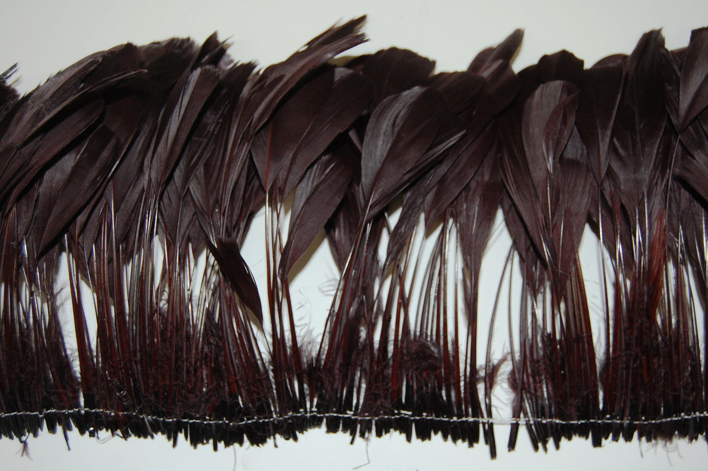 brown rooster feathers on tape by Eskay Feathers