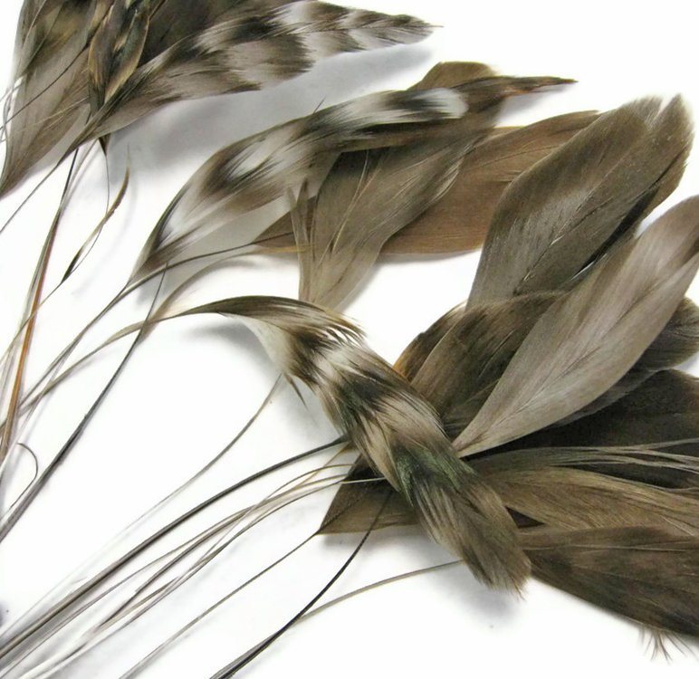 Natural rooster feathers on a white table by Eskay Feathers