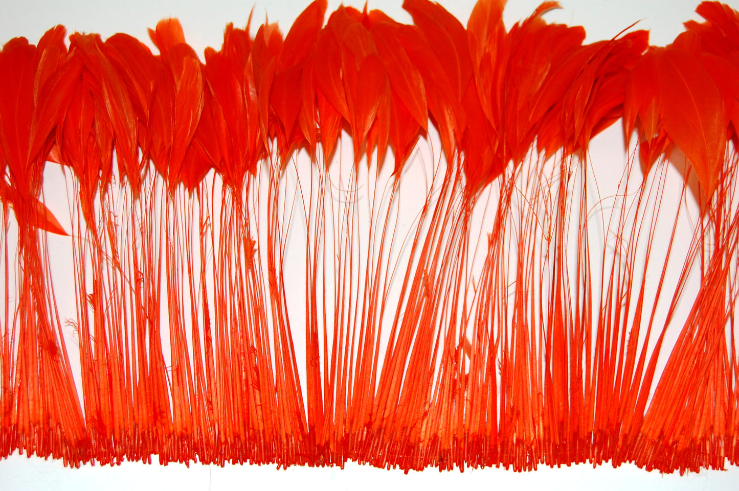 Orange Rooster Feathers by Eskay Feathers