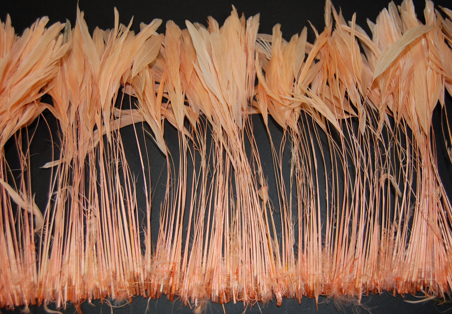 Peach dyed rooster feathers taped