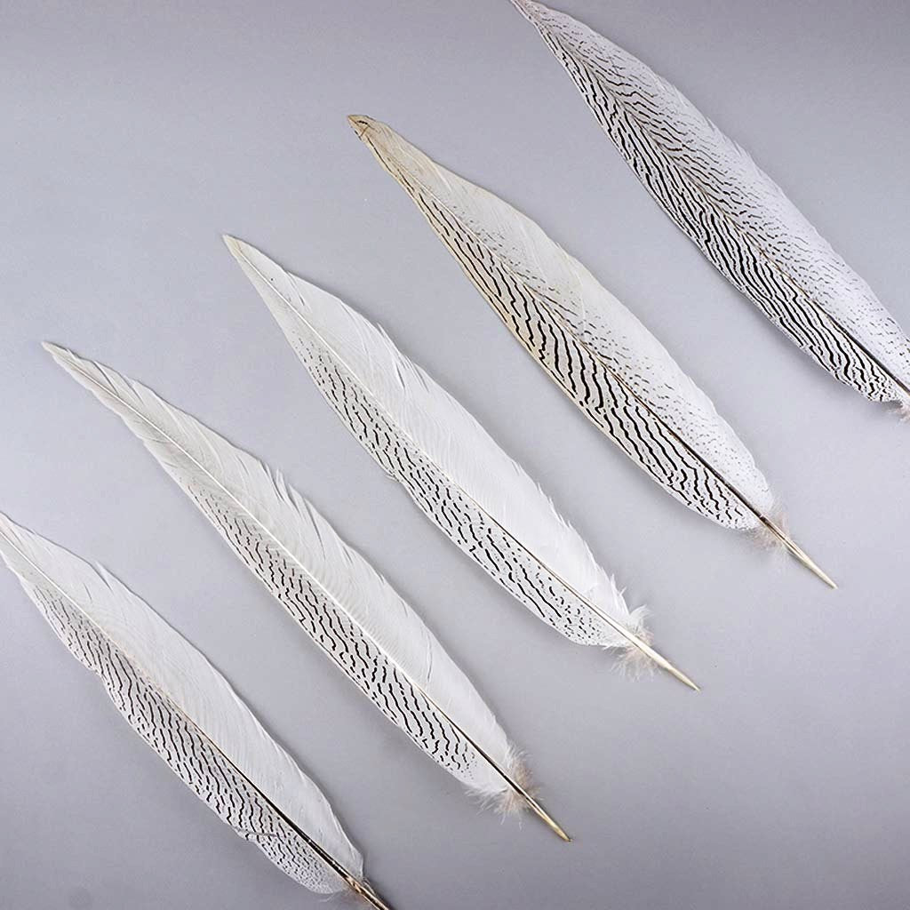 Silver Pheasant Tails 4-30"