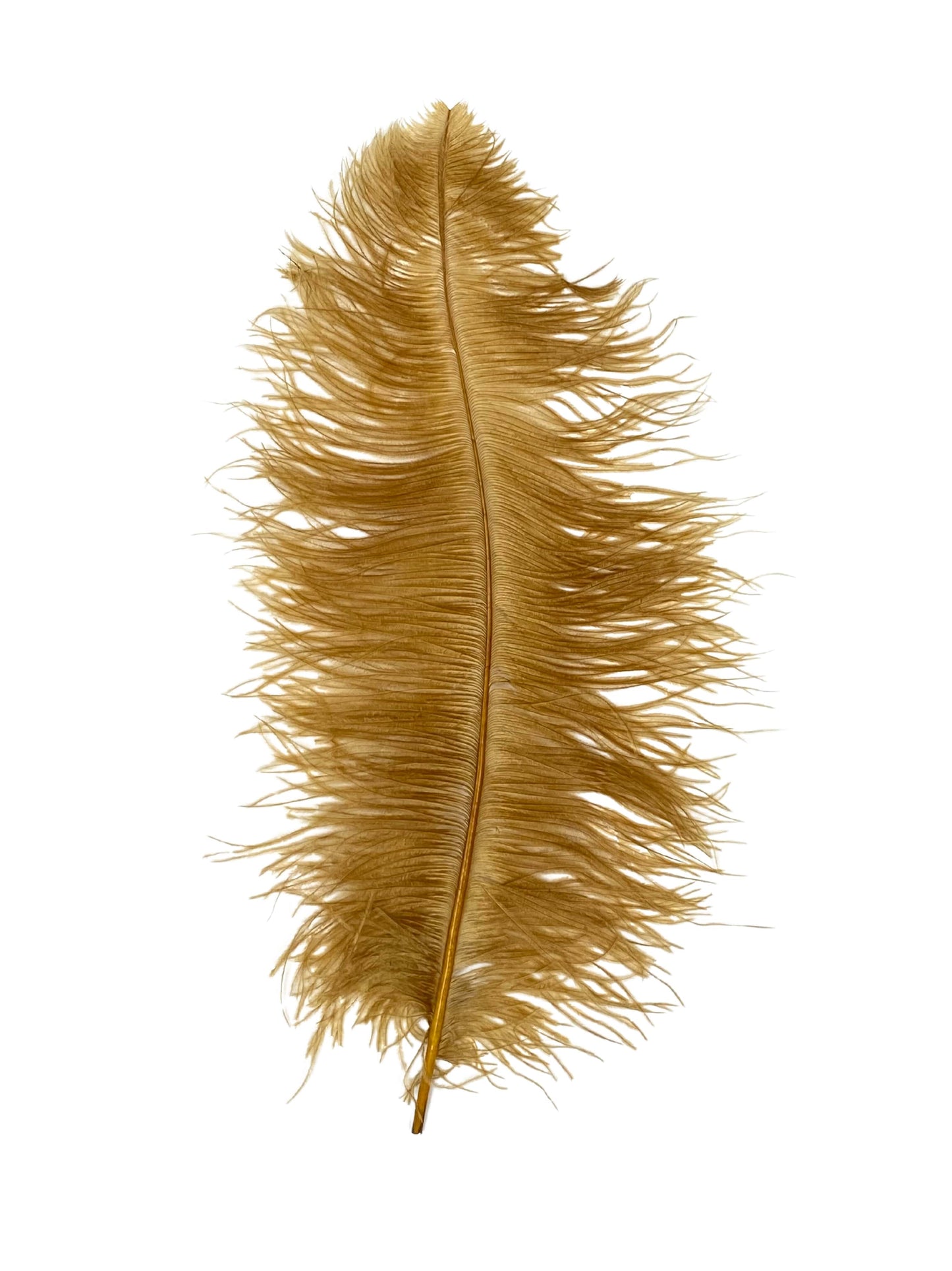 Ostrich Plumes 8-18"