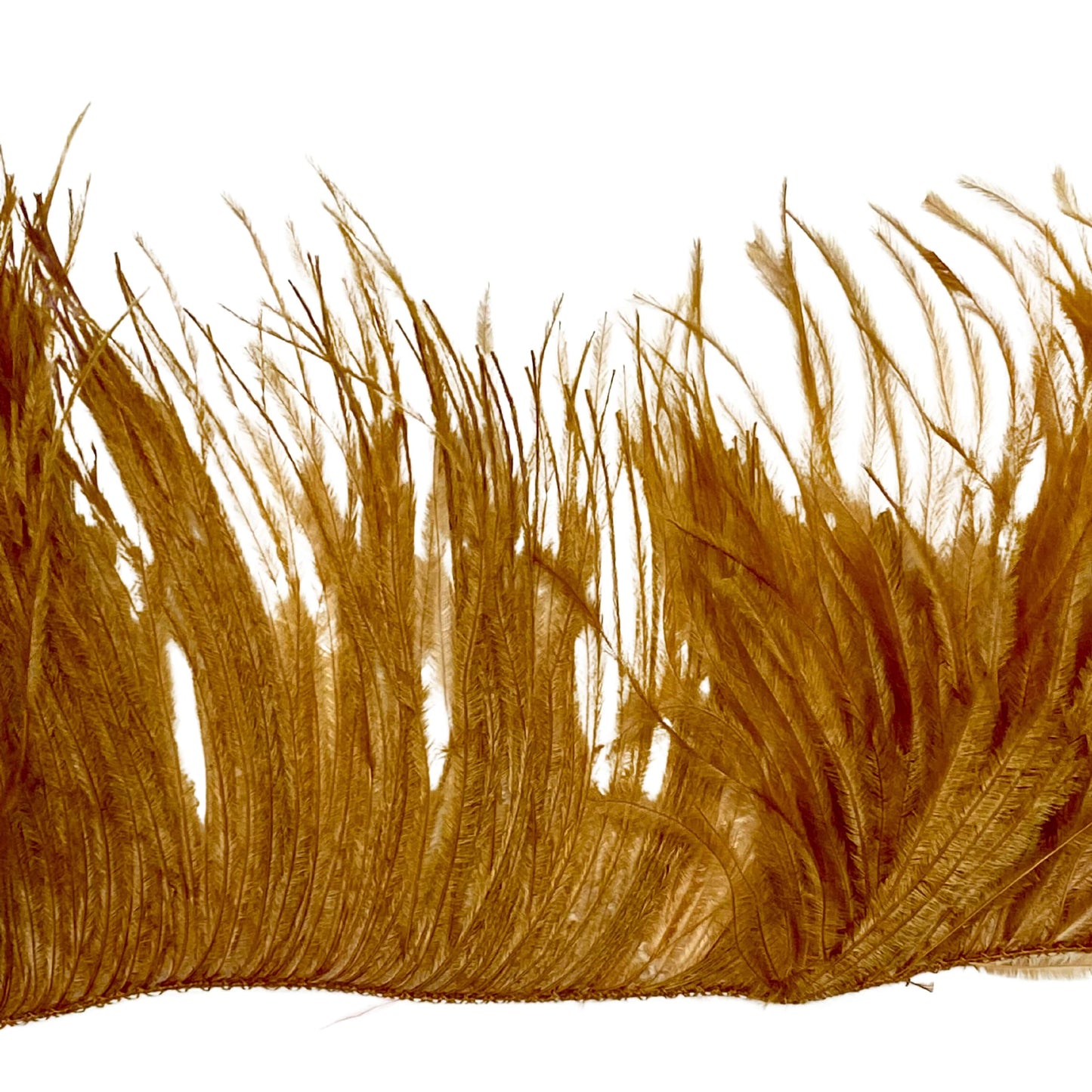 Ostrich Fringe