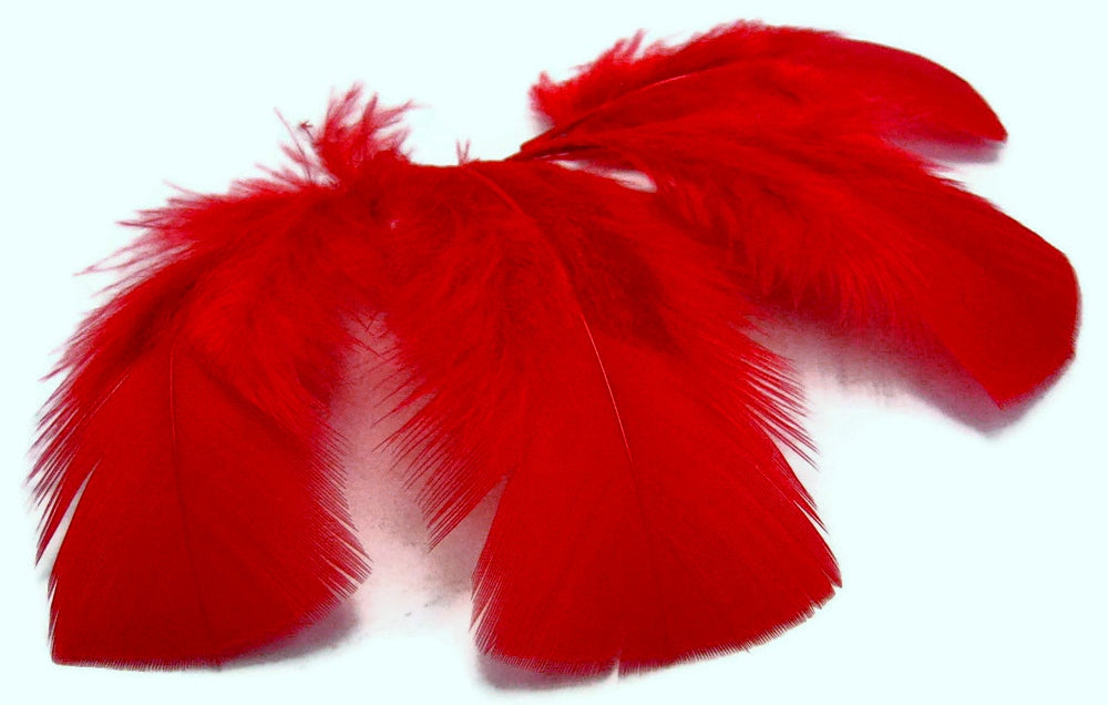 red colored turkey plumage close up