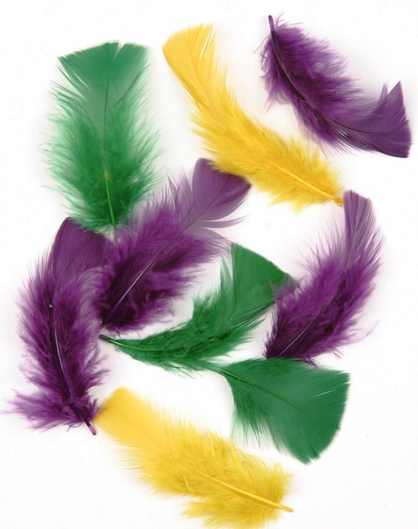 green, purple, and yellow turkey plumage
