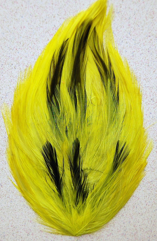 Hackle Pad